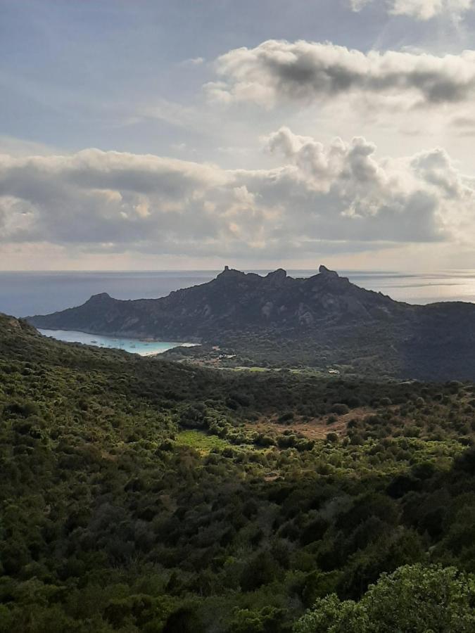 Orasi Casa Fiurita Sartène