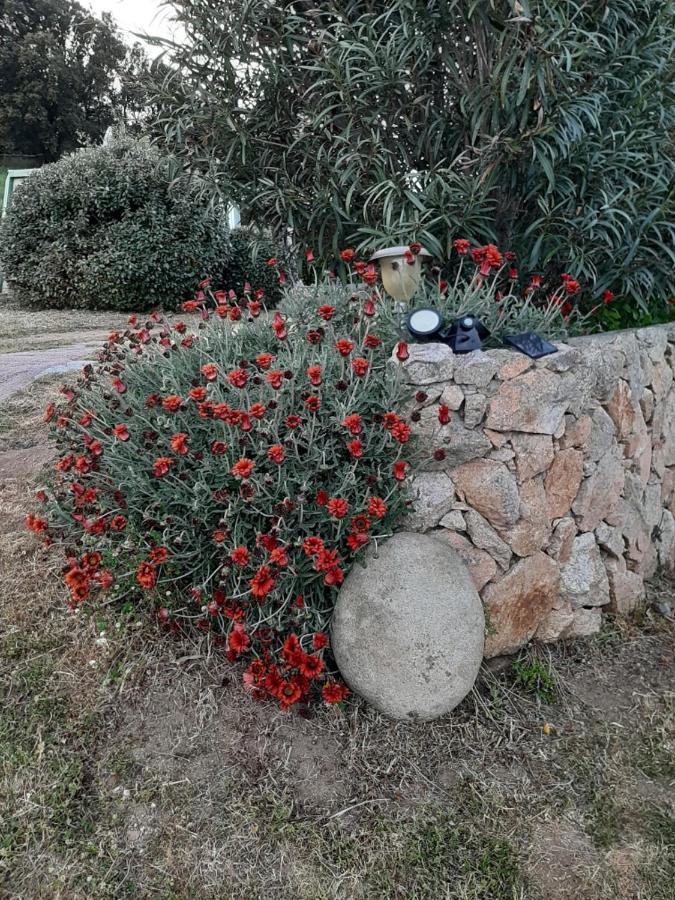 Hébergement de vacances Orasi Casa Fiurita