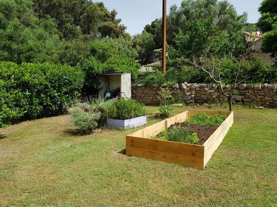 Orasi Casa Fiurita *
